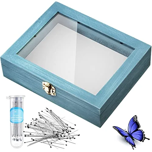 Insect Display Case Bug Box with Clear Lid