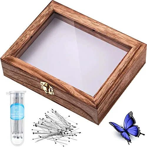 Insect Display Case Bug Box with Clear Lid