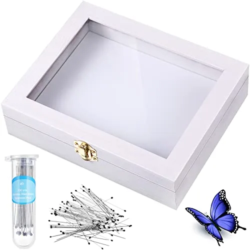 Insect Display Case Bug Box with Clear Lid